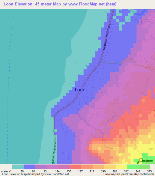 Loon,Philippines Elevation Map