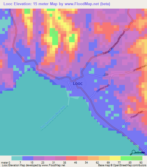 Looc,Philippines Elevation Map