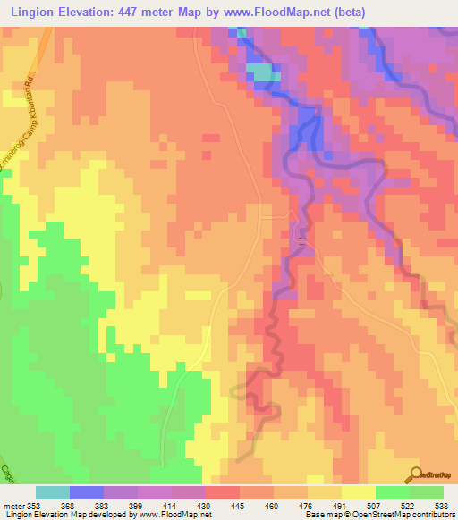 Lingion,Philippines Elevation Map