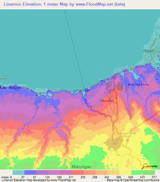 Linamon,Philippines Elevation Map