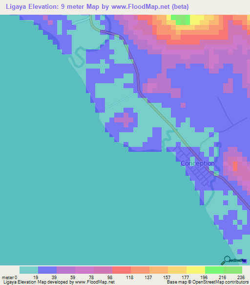 Ligaya,Philippines Elevation Map