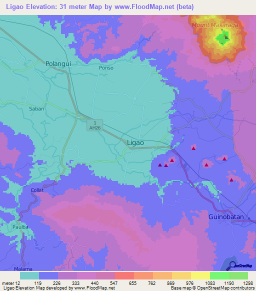 Ligao,Philippines Elevation Map