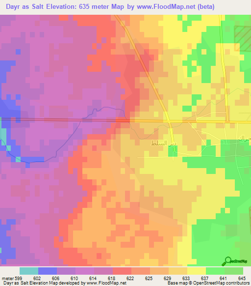 Dayr as Salt,Syria Elevation Map