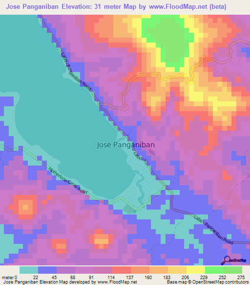 Jose Panganiban,Philippines Elevation Map
