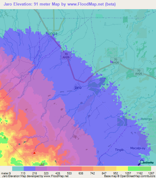 Jaro,Philippines Elevation Map