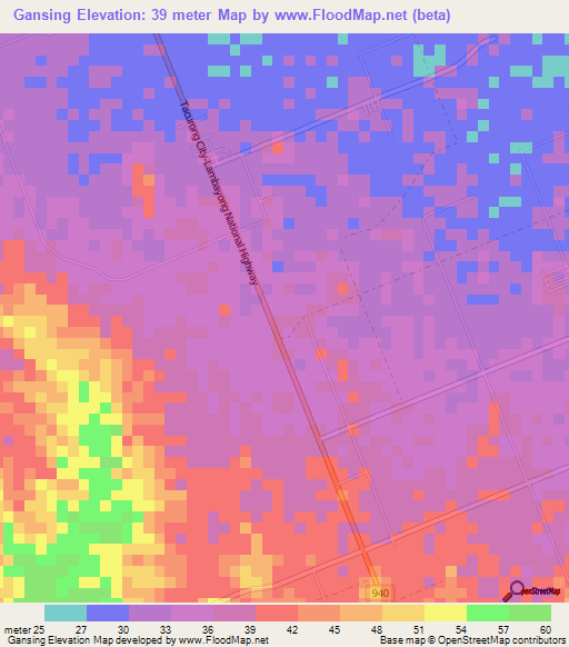 Gansing,Philippines Elevation Map