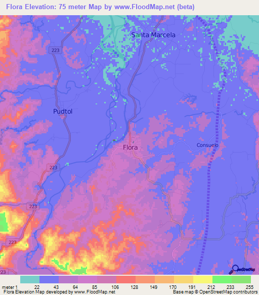 Flora,Philippines Elevation Map