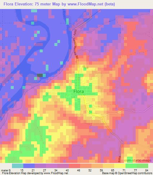 Flora,Philippines Elevation Map