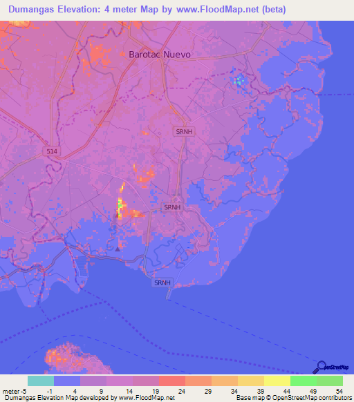 Dumangas,Philippines Elevation Map