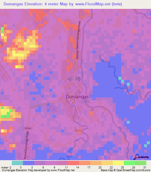 Dumangas,Philippines Elevation Map