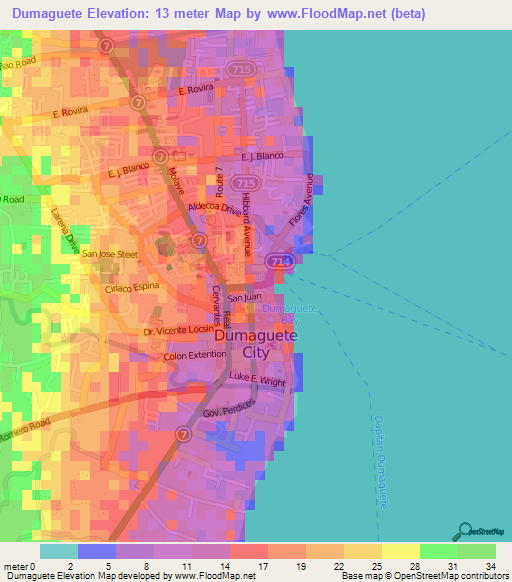 Dumaguete,Philippines Elevation Map