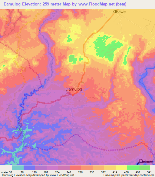Damulog,Philippines Elevation Map