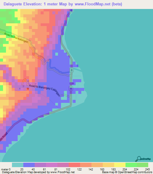 Dalaguete,Philippines Elevation Map