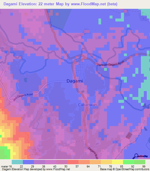Dagami,Philippines Elevation Map