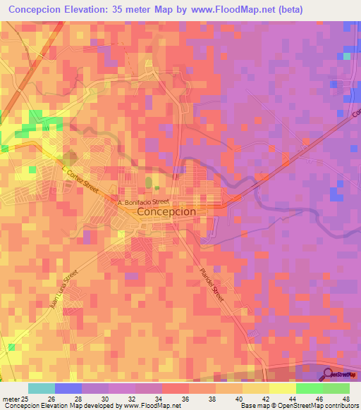 Concepcion,Philippines Elevation Map