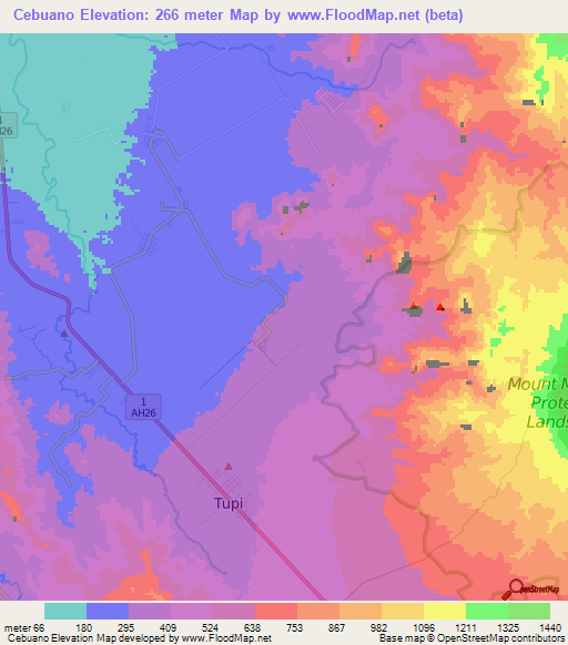 Cebuano,Philippines Elevation Map