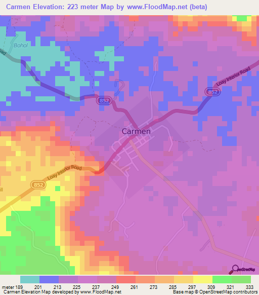 Carmen,Philippines Elevation Map