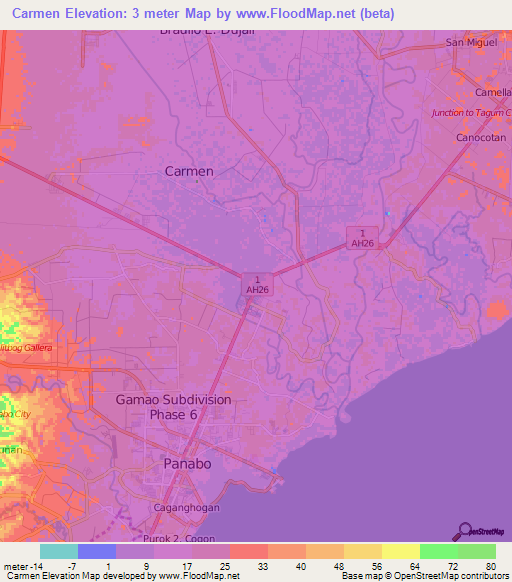 Carmen,Philippines Elevation Map