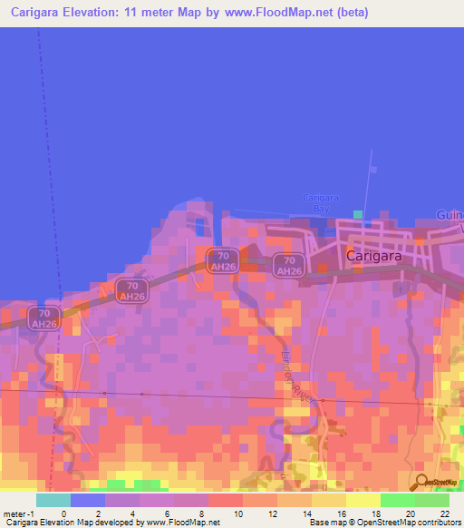 Carigara,Philippines Elevation Map