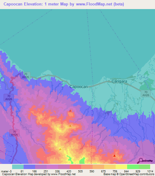 Capoocan,Philippines Elevation Map