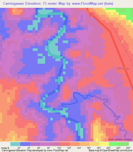 Camingawan,Philippines Elevation Map