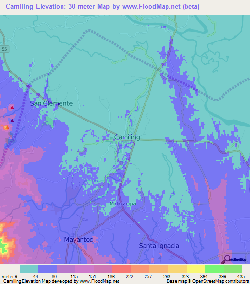 Camiling,Philippines Elevation Map