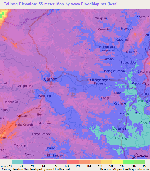 Calinog,Philippines Elevation Map