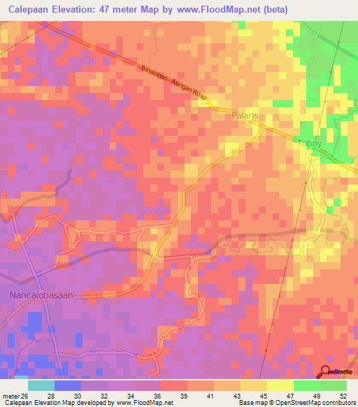 Calepaan,Philippines Elevation Map