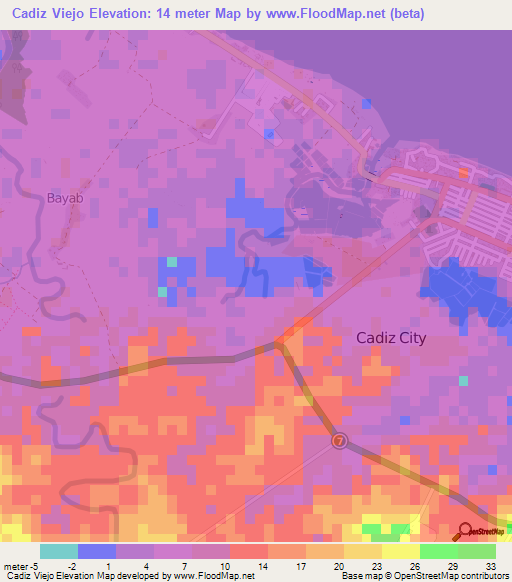 Cadiz Viejo,Philippines Elevation Map