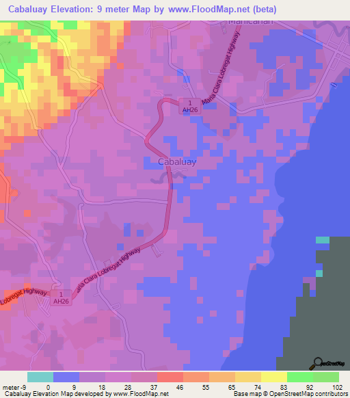 Cabaluay,Philippines Elevation Map