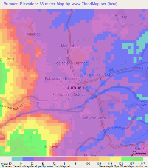 Burauen,Philippines Elevation Map