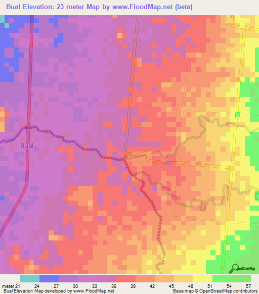 Bual,Philippines Elevation Map