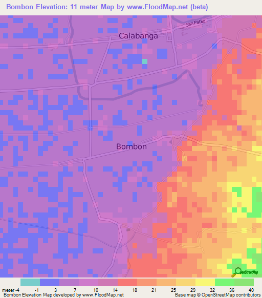 Bombon,Philippines Elevation Map