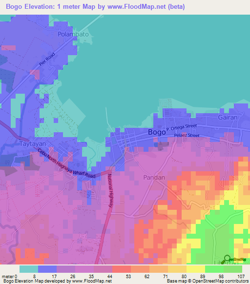 Bogo,Philippines Elevation Map