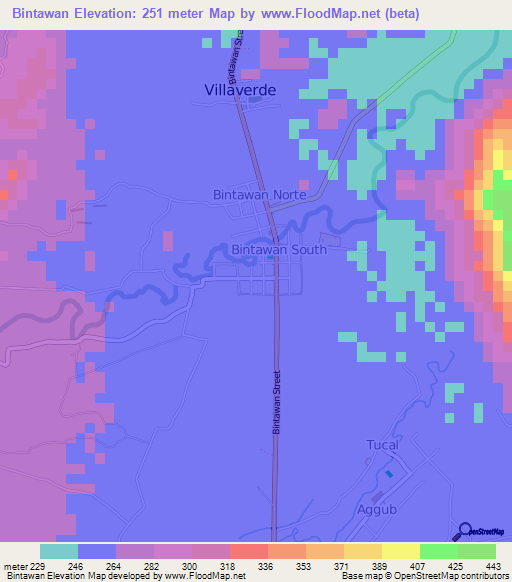 Bintawan,Philippines Elevation Map