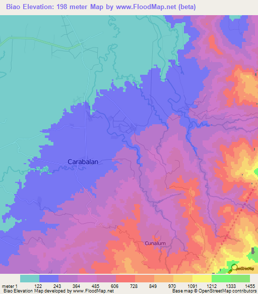 Biao,Philippines Elevation Map