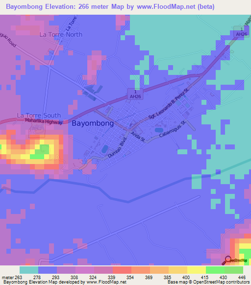 Bayombong,Philippines Elevation Map