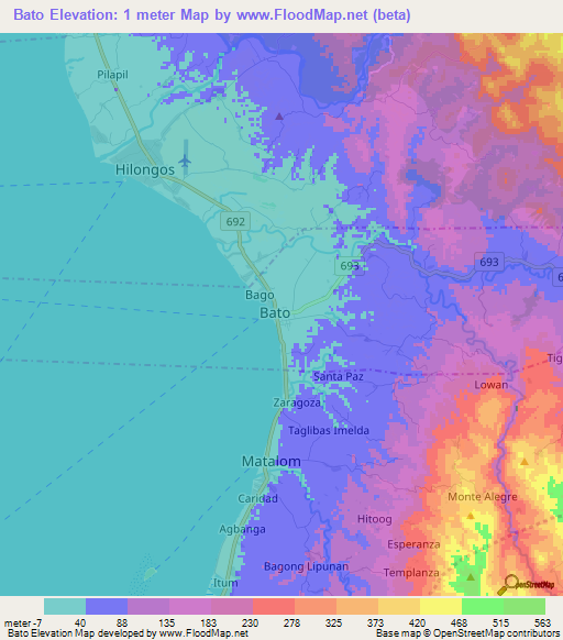 Bato,Philippines Elevation Map