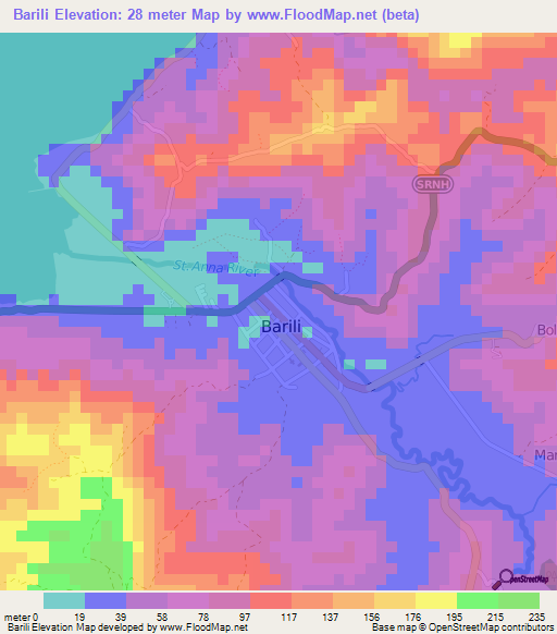 Barili,Philippines Elevation Map