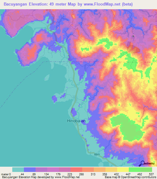 Bacuyangan,Philippines Elevation Map