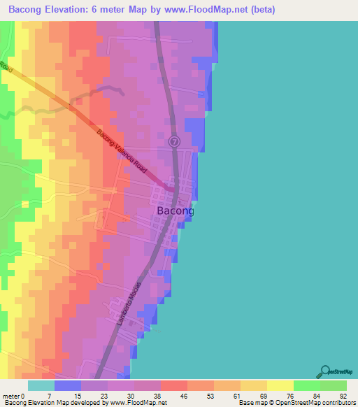 Bacong,Philippines Elevation Map