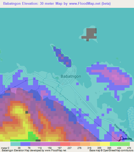 Babatngon,Philippines Elevation Map