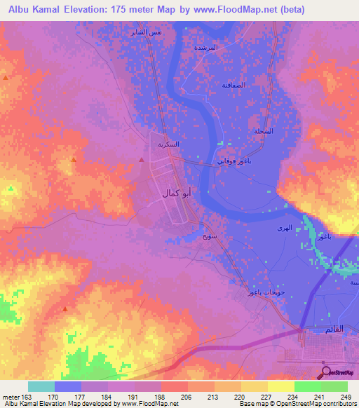 Albu Kamal,Syria Elevation Map