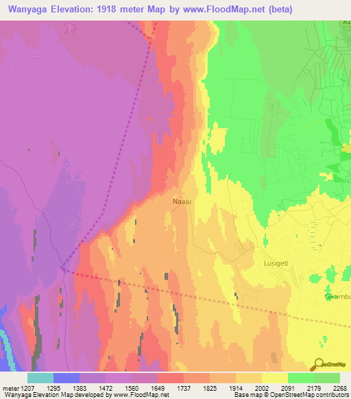 Wanyaga,Kenya Elevation Map
