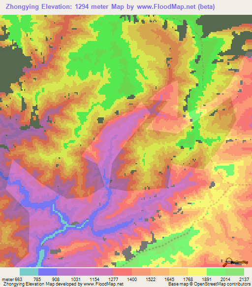 Zhongying,China Elevation Map