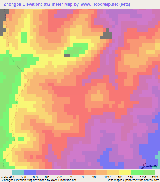 Zhongba,China Elevation Map