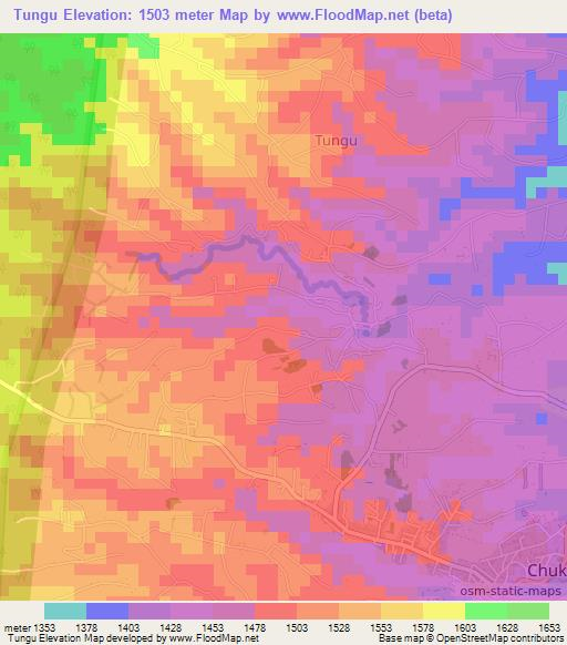 Tungu,Kenya Elevation Map