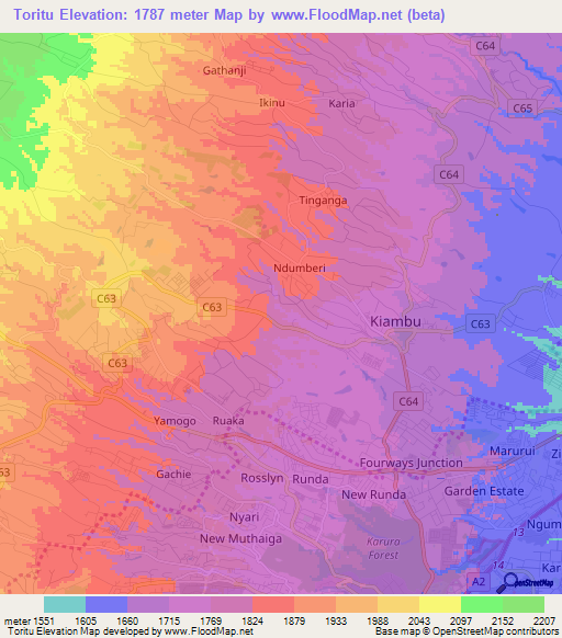 Toritu,Kenya Elevation Map