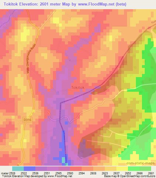 Tokitok,Kenya Elevation Map