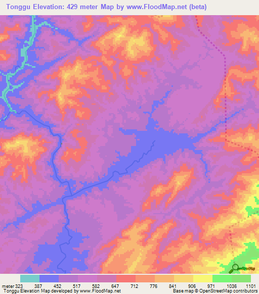 Tonggu,China Elevation Map